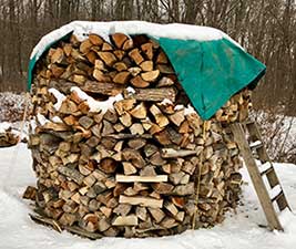 Firewood