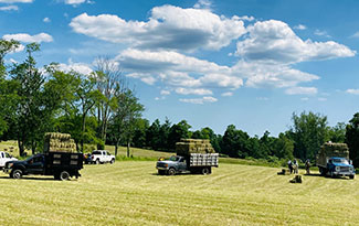 Hay Trucks