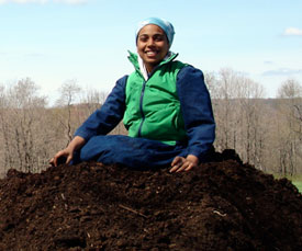 compost pile