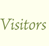 visitors